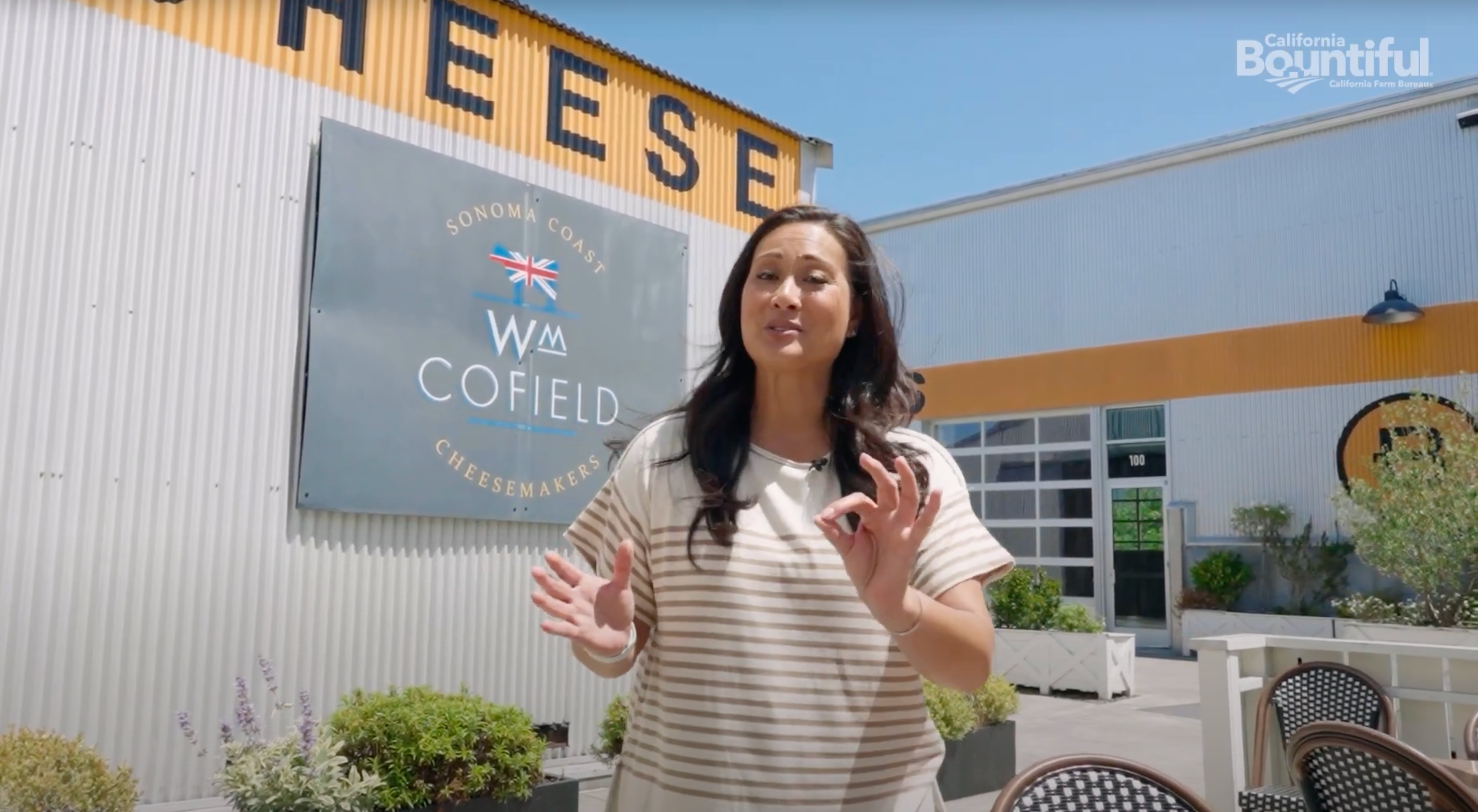 Image of British style cheese from Sebastopol