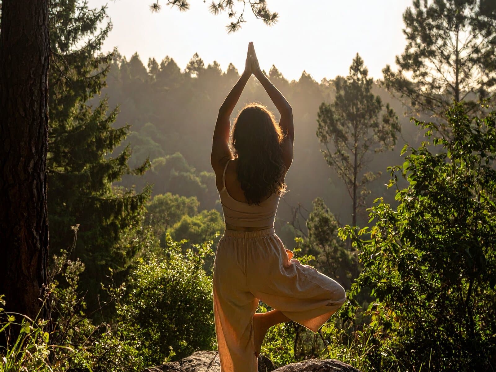 Workshops & Retreats